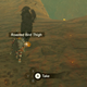 Illustration for article titled Zelda: Breath Of The Wild Is Full Of Amazing Little Details